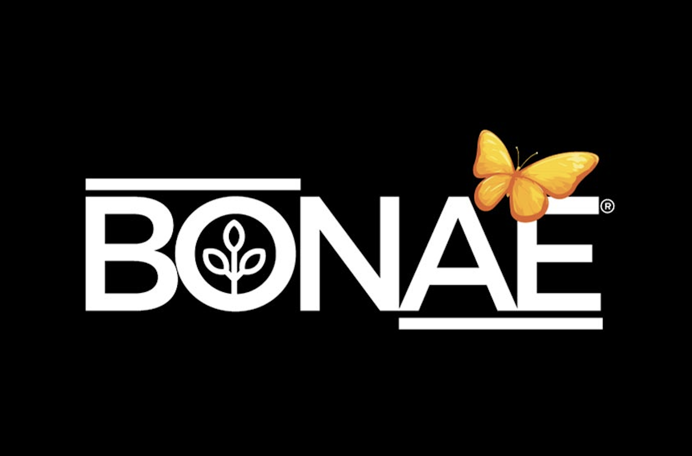 Bonae